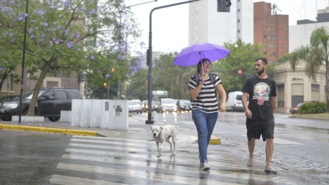 sigue vigente el anuncio de lluvias en la plata: ¿cuando llegan y como seguira el clima?