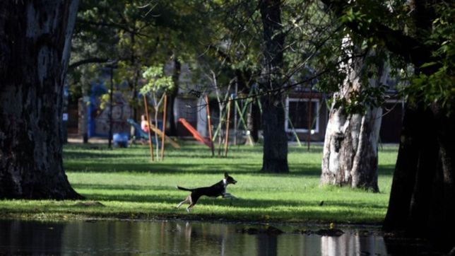 El Servicio Meteorológico Nacional anticipa para este jueves sol y una temperatura máxima de 20 grados en La Plata.
