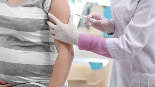 las embarazadas con o sin factores de riesgo tendran prioridad para recibir la vacuna