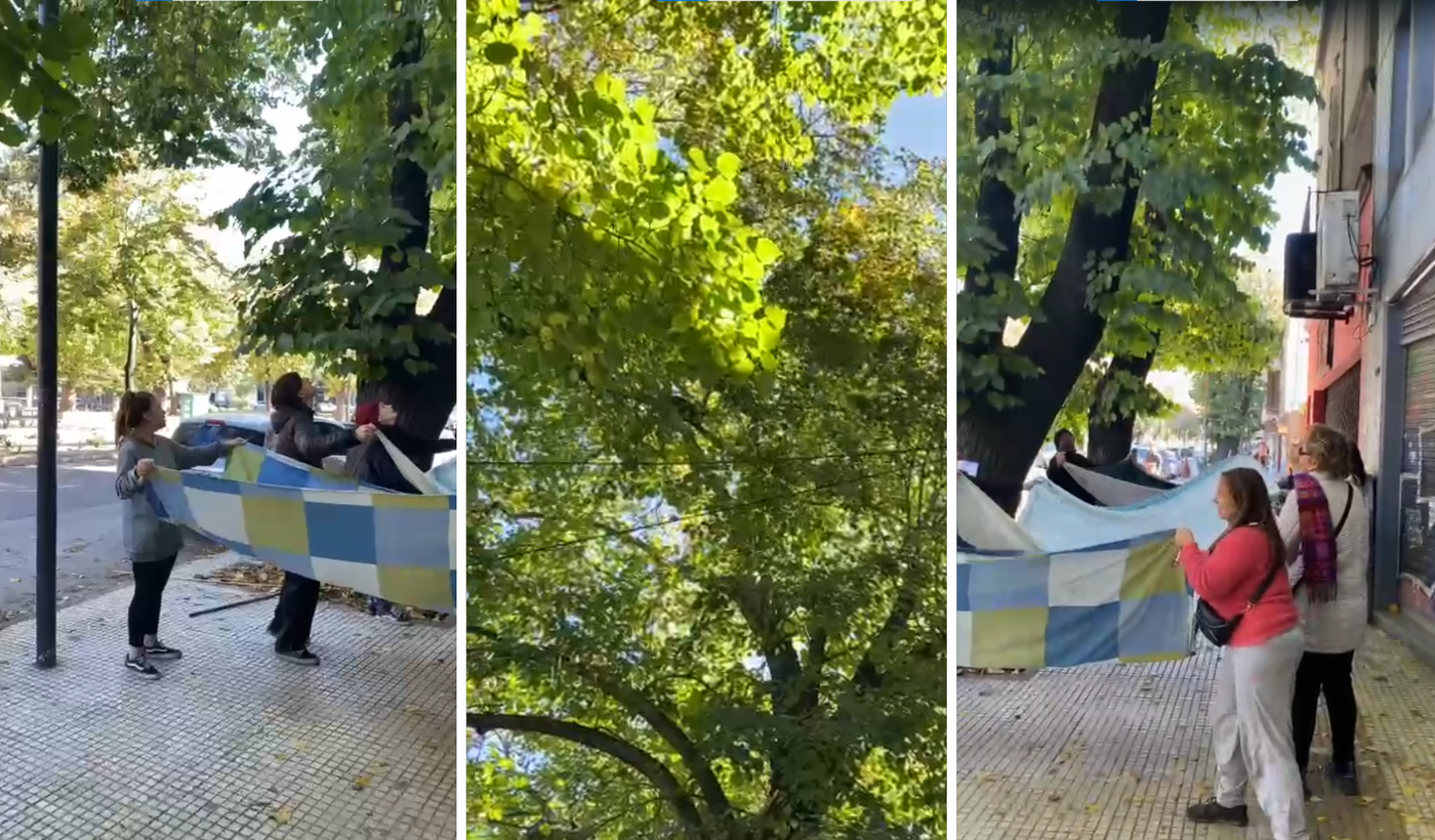 Diseño sin título (61).png