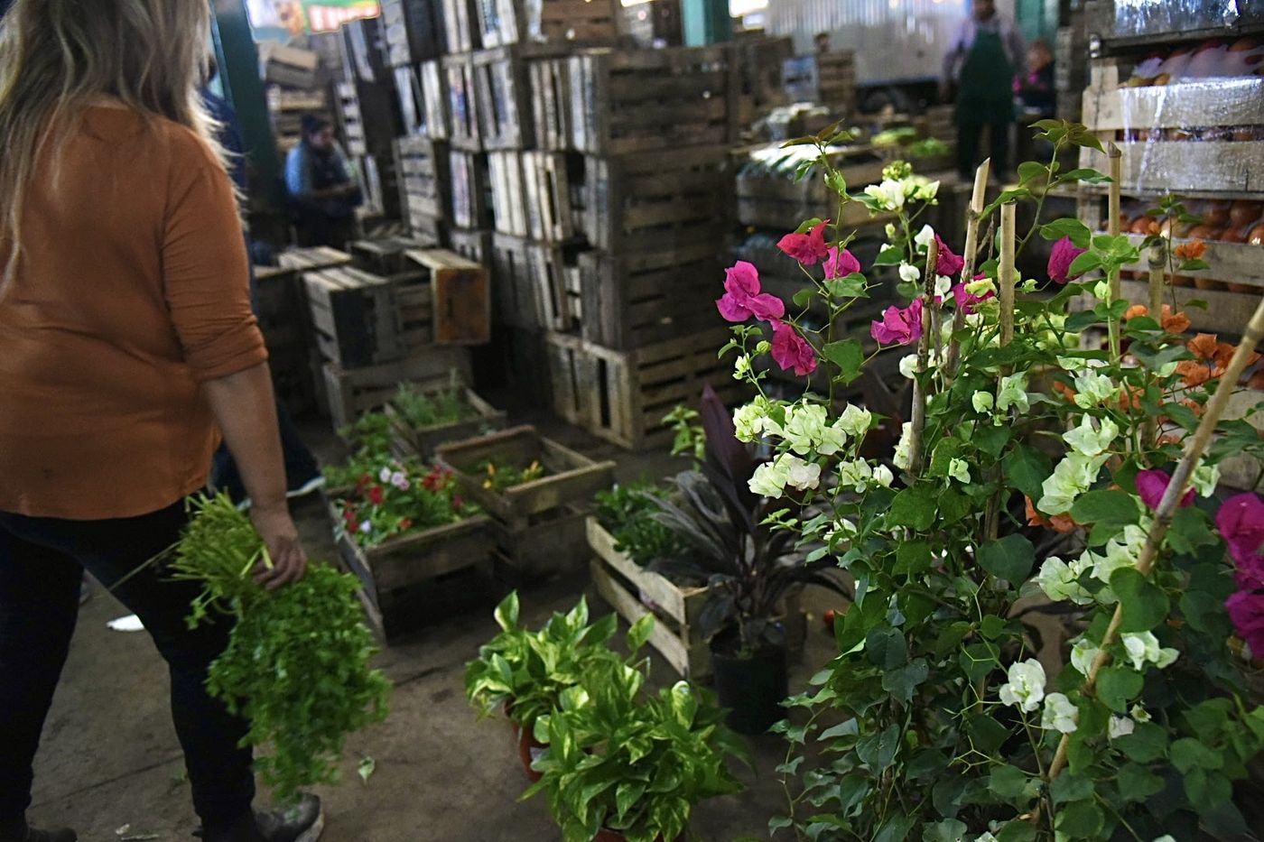 Mercado Regional 1.jpg