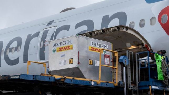 llegaron mas de 800 mil nuevas vacunas de pfizer al pais