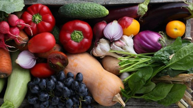 alimentos saludables y baratos: la unlp tendra la primera planta de prebioticos del pais