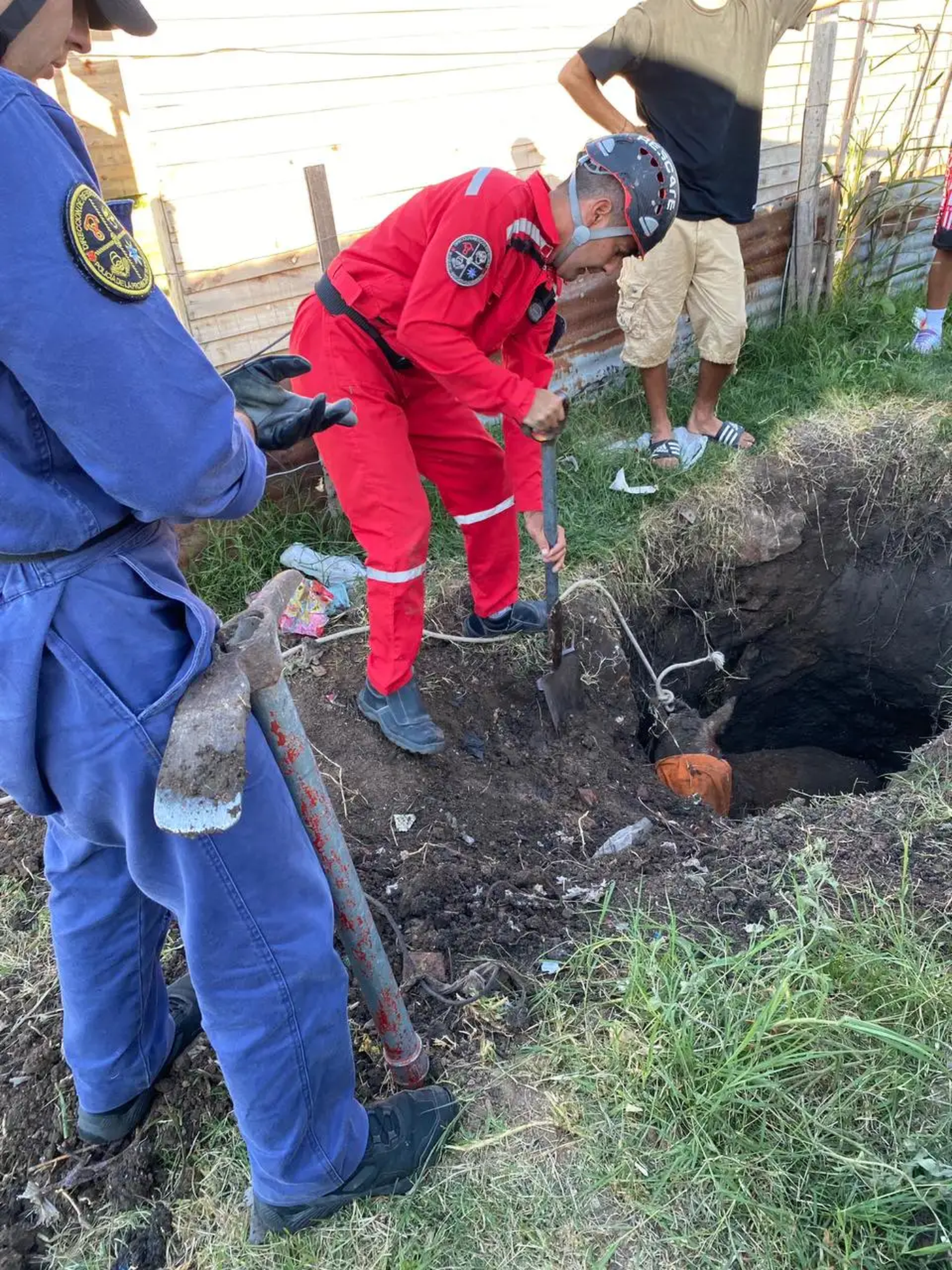 El caballo cayó a un pozo de tres metros en una casa de Altos de San Lorenzo.