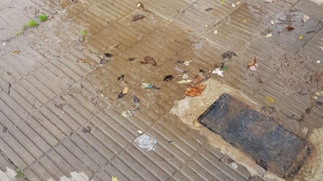 lucho durante meses por una perdida de absa, la arreglaron y ahora se volvio a romper