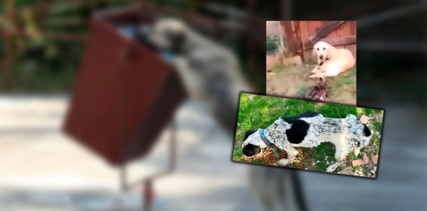 1658597194059.jpg?x=0&y=0&width=1500&height=750&rotate=0&scaleX=1&scaleY=1&ow=1500&oh=742&&cw=1920&ch=950