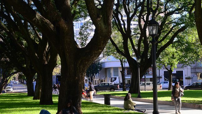 la plata continua con un jueves frio y de sol radiante, a la espera de un fin de semana inestable