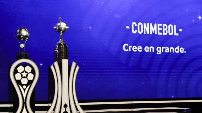 el insolito e irrisorio cambio que dispuso la afa para la clasificacion a la libertadores y sudamericana