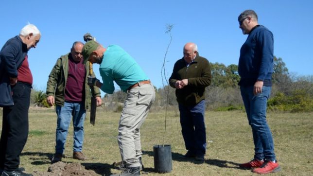 recuperaron mas de 100 ejemplares del monte nativo en el parque ecologico