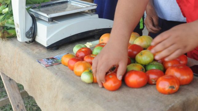 tras el temporal, el precio de las verduras platenses se dispara en la region