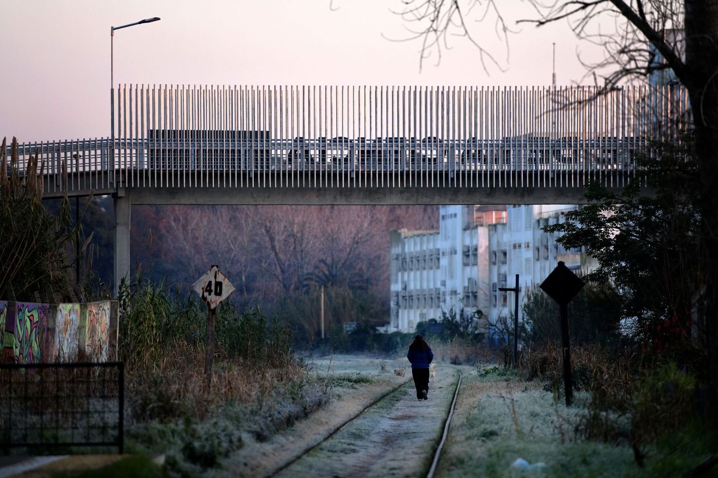 heladas frio en La Plata-0001 (14).JPG