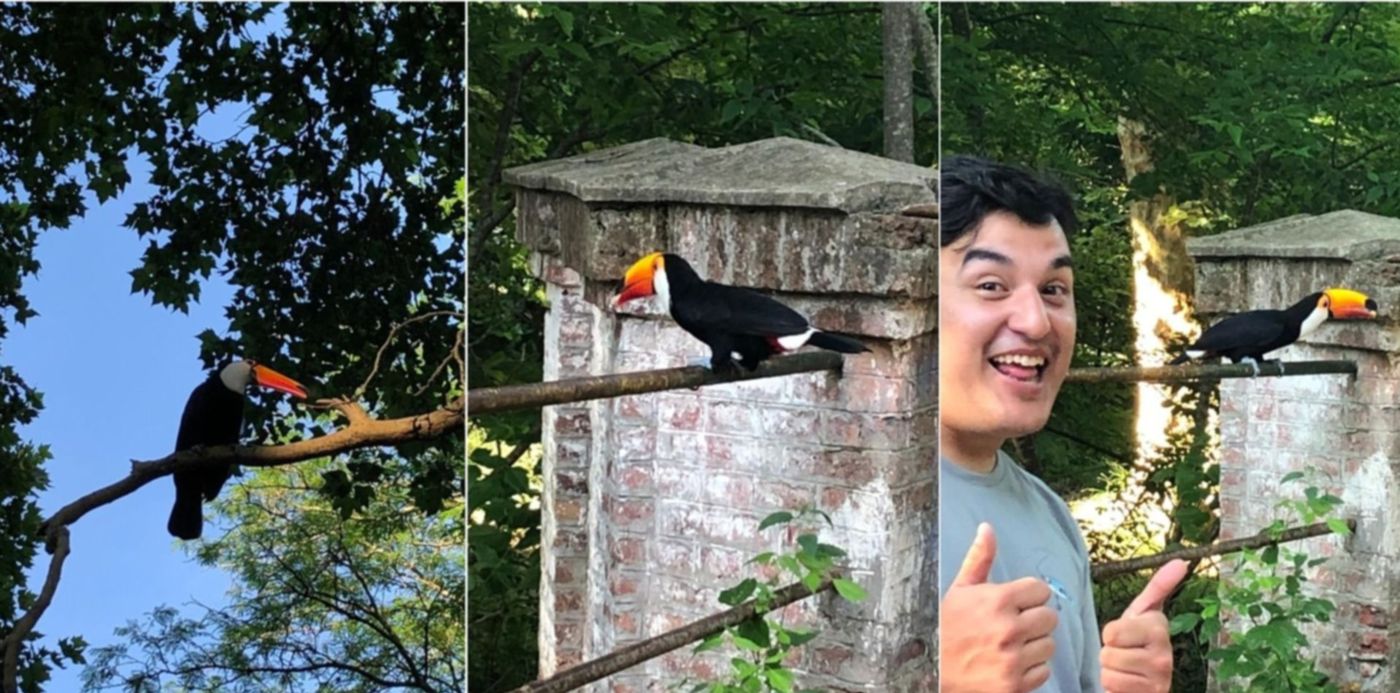 1574515049094.jpg?height=742&ow=1500&x=8&y=0&scaleX=1&scaleY=1&oh=742&width=1484&rotate=0&&cw=1920&ch=950