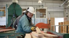 los rubros mas afectados por la caida de la actividad economica durante 2024 los rubros mas afectados por la caida de la actividad economica durante 2024