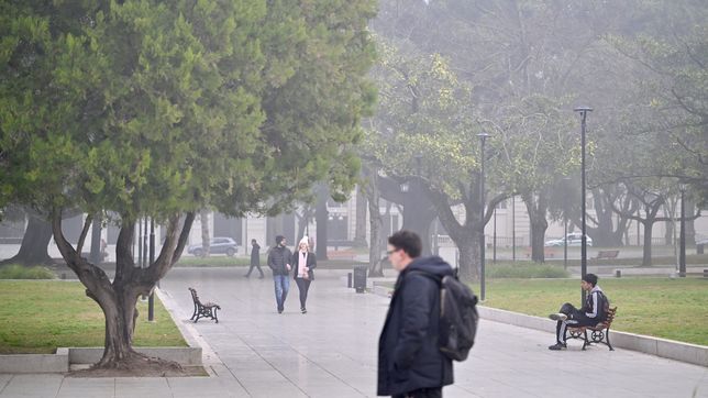 0221.com.ar | Neblina niebla (6)