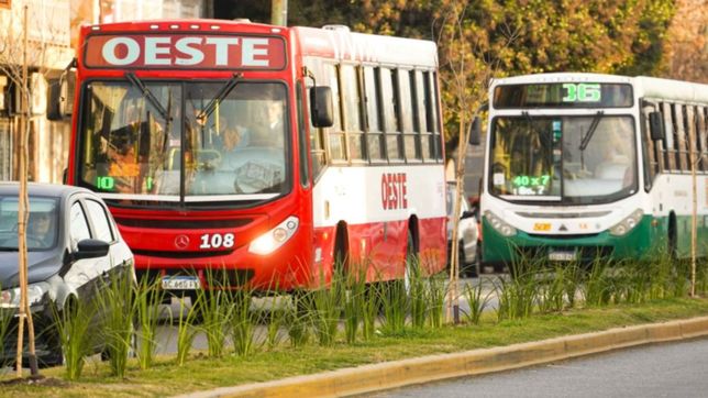 el servicio de micro es gratuito todo el domingo para que los platense vayan a votar