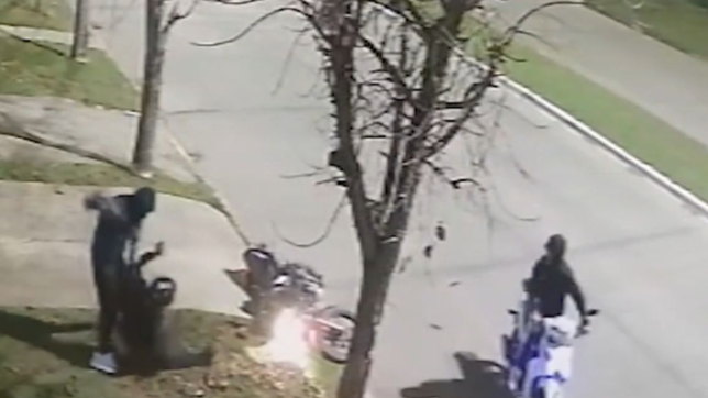 video: intento de robo, cuatro tiros y ladrones en fuga en un violento ataque en la plata