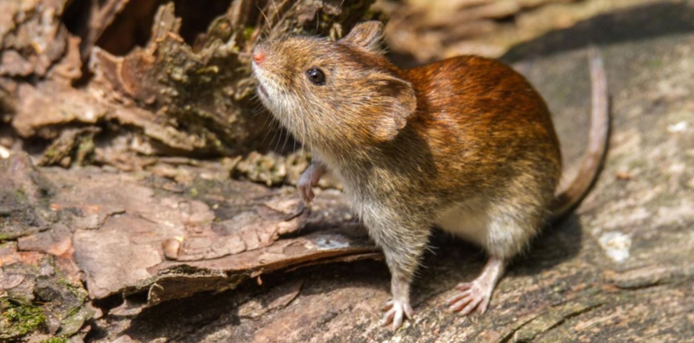 1547791823746.jpg?oh=999&x=7&rotate=0&scaleX=1&scaleY=1&ow=1500&y=133&width=1486&height=743&&cw=1920&ch=950