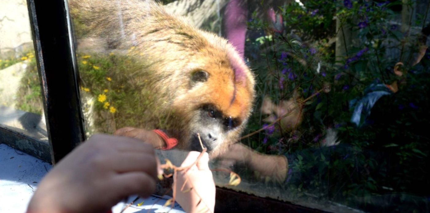 Reapertura del Bioparque de La Plata