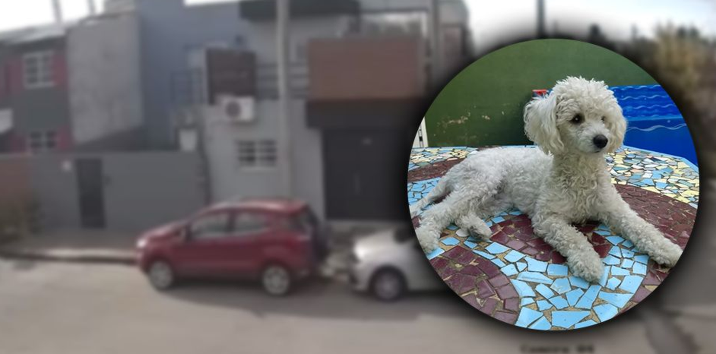 1652224726557.jpg?x=5&y=56&width=942&height=472&rotate=0&scaleX=1&scaleY=1&ow=952&oh=565&&cw=1920&ch=950