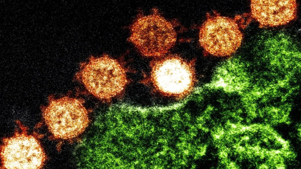 Coronavirus: las tres condiciones que deben ocurrir para que el mundo vuelva a la normalidad