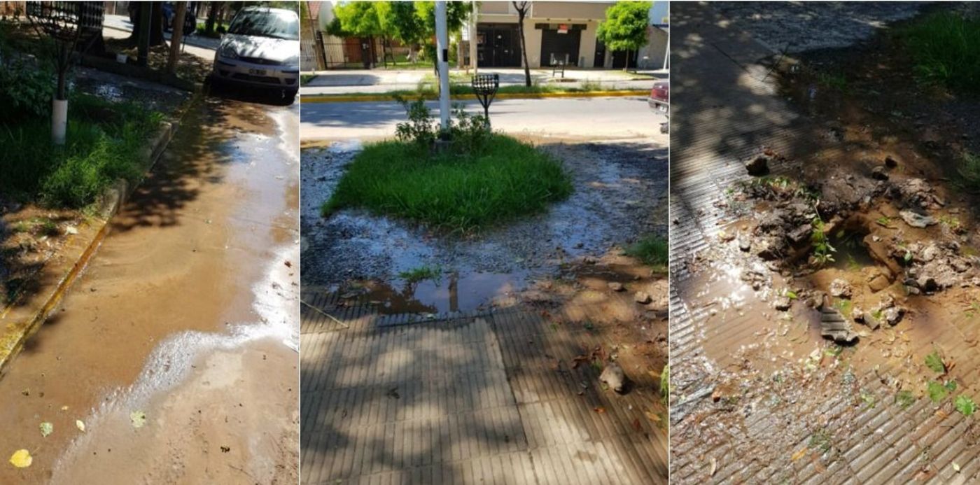 1551995680201.jpg?ow=1200&x=76&y=0&width=1058&scaleY=1&oh=540&height=529&rotate=0&scaleX=1&&cw=1920&ch=950