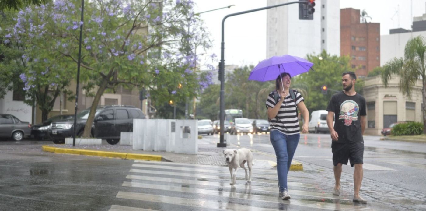 1547463032614.jpg?width=1488&ow=1500&oh=831&x=6&y=59&scaleX=1&scaleY=1&height=744&rotate=0&&cw=1920&ch=950