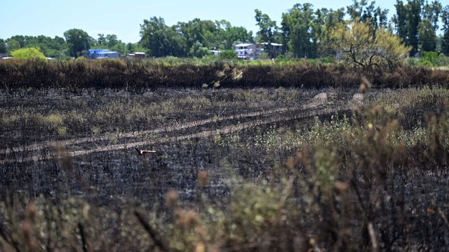 el estado en el que quedo la cantera que se incendio y puso en jaque a todo un barrio