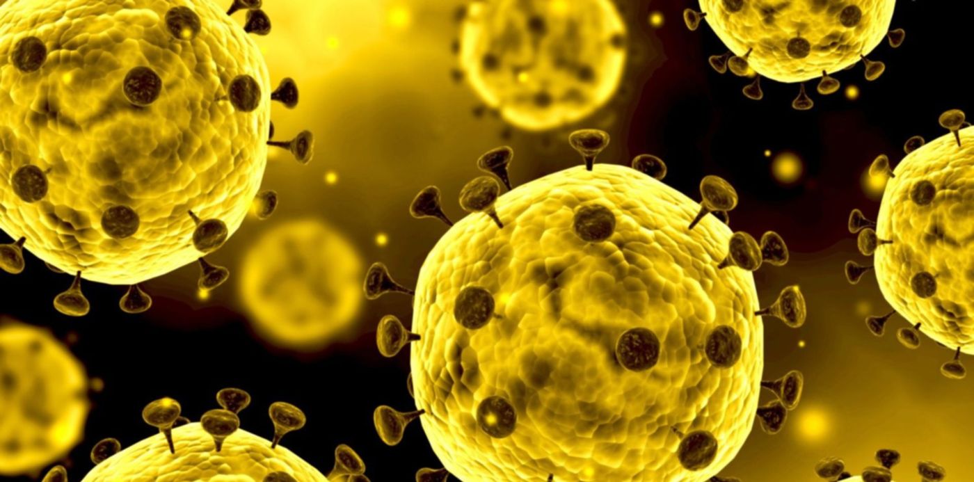 1587475277564.jpg?&cw=1920&ch=950