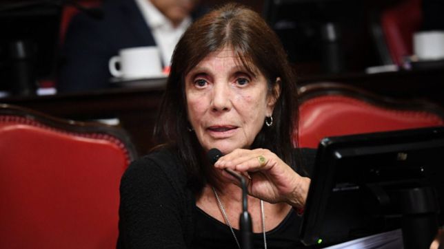 teresa garcia critico a tolosa paz por sus dichos sobre cfk: es una falta de respeto