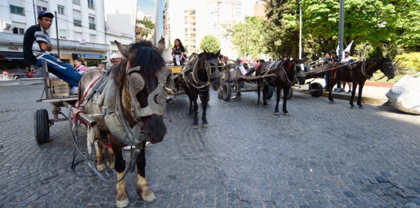 1541169454648.jpg?scaleX=1&width=1486&height=743&rotate=0&scaleY=1&ow=1500&oh=996&x=11&y=178&&cw=1920&ch=950