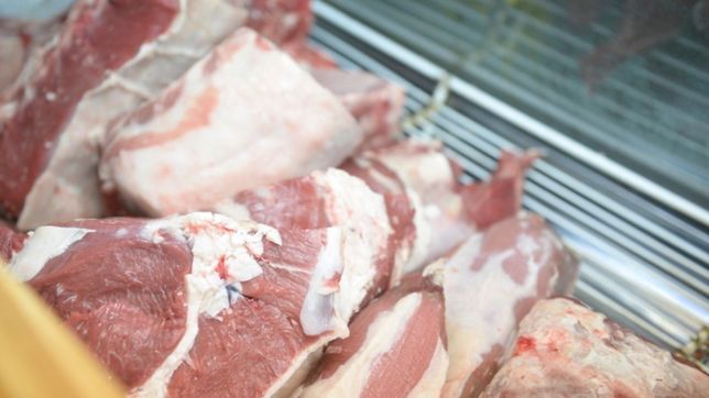 la unlp promueve carnicerias saludables contra las bacterias de la carne cruda
