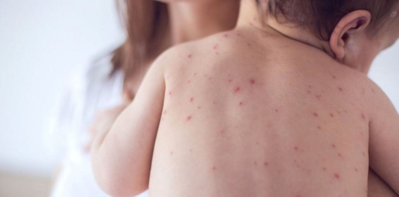 1557674215122.jpg?ow=1500&width=1457&height=728&scaleX=1&scaleY=1&x=30&y=7&rotate=0&oh=742&&cw=1920&ch=950