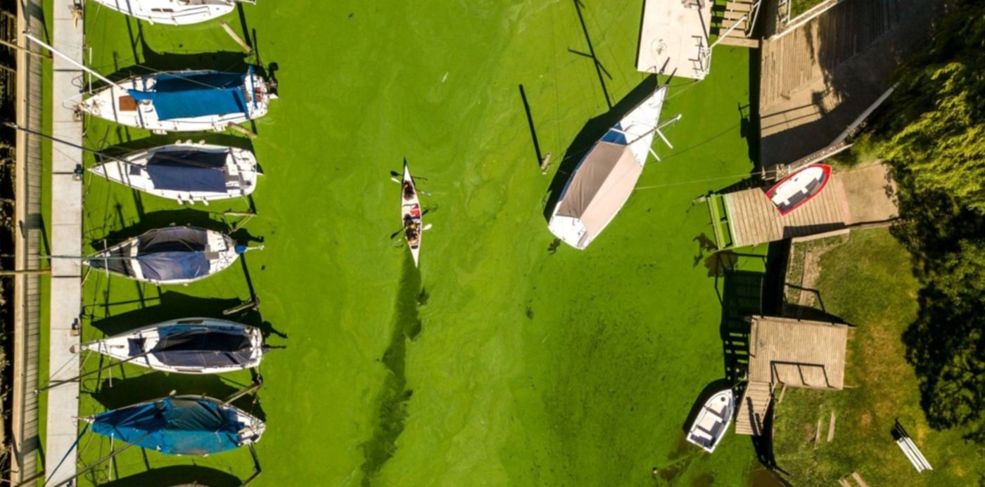 1606098604452.jpg?x=23&y=228&width=1466&height=733&rotate=0&scaleX=1&scaleY=1&ow=1500&oh=1124&&cw=1920&ch=950