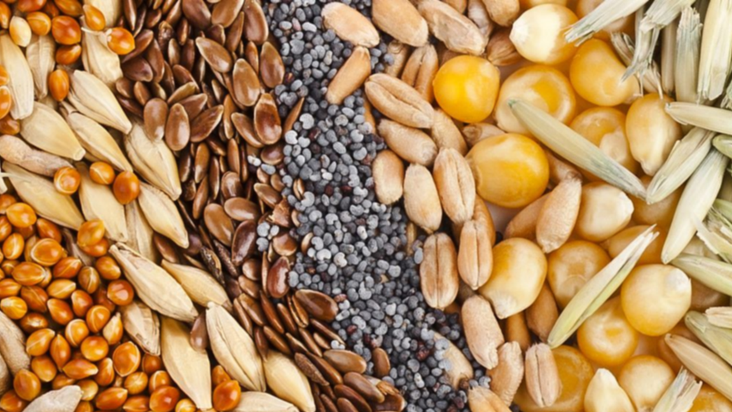 Prohibieron la venta de unas semillas y un producto para quemar grasa corporal