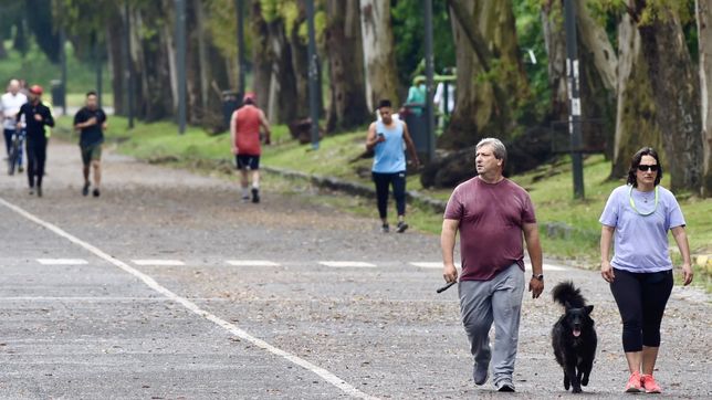 operativo en la plata por una mujer que fallecio en el bosque