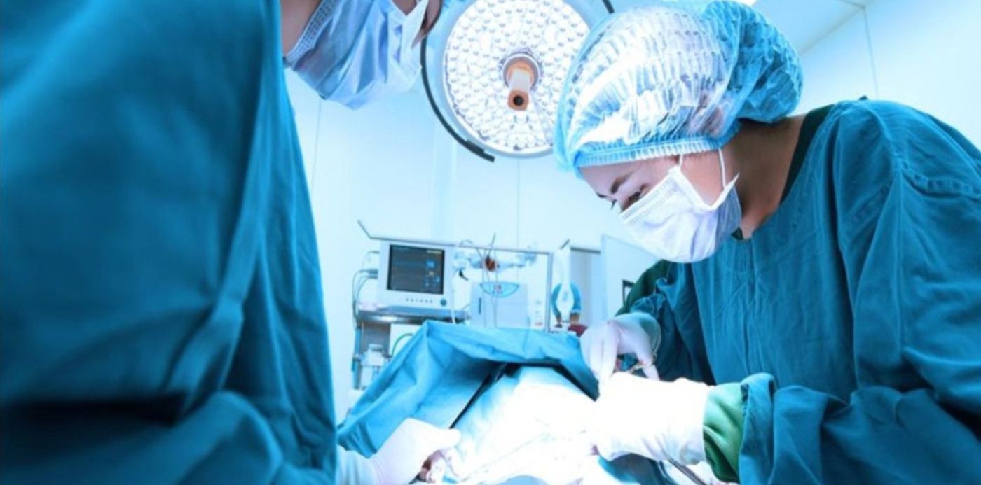 1556133997279.jpg?x=3&y=114&width=1487&height=743&rotate=0&scaleX=1&scaleY=1&ow=1500&oh=1001&&cw=1920&ch=950