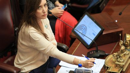 Las dietas de los senadores nacionales seguirán congeladas