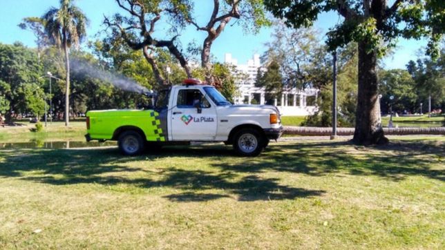 ante la presencia de casos autoctonos de dengue intensifican el trabajo de prevencion en la plata