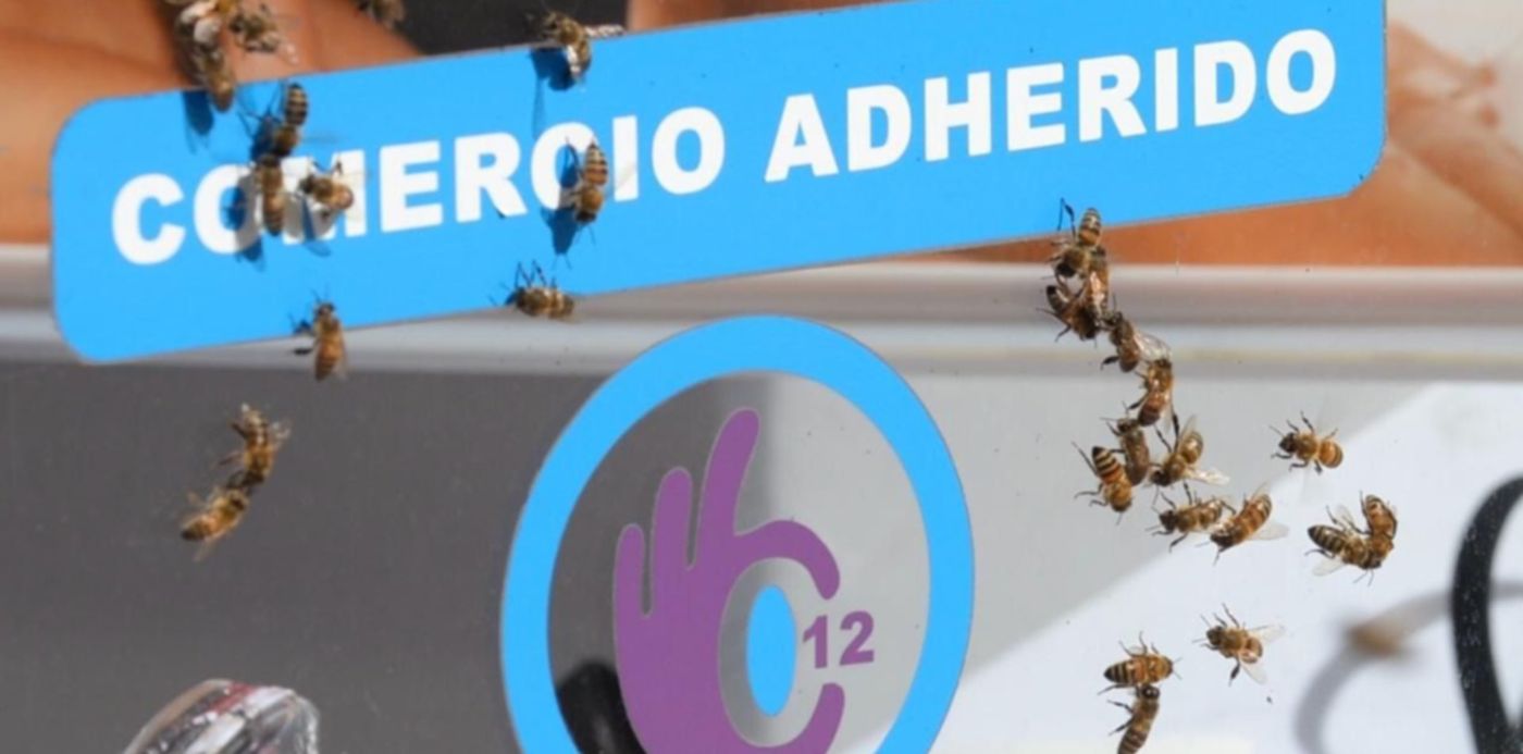 1572033753409.jpeg?x=8&width=1265&rotate=0&scaleX=1&oh=820&y=58&height=632&scaleY=1&ow=1280&&cw=1920&ch=950