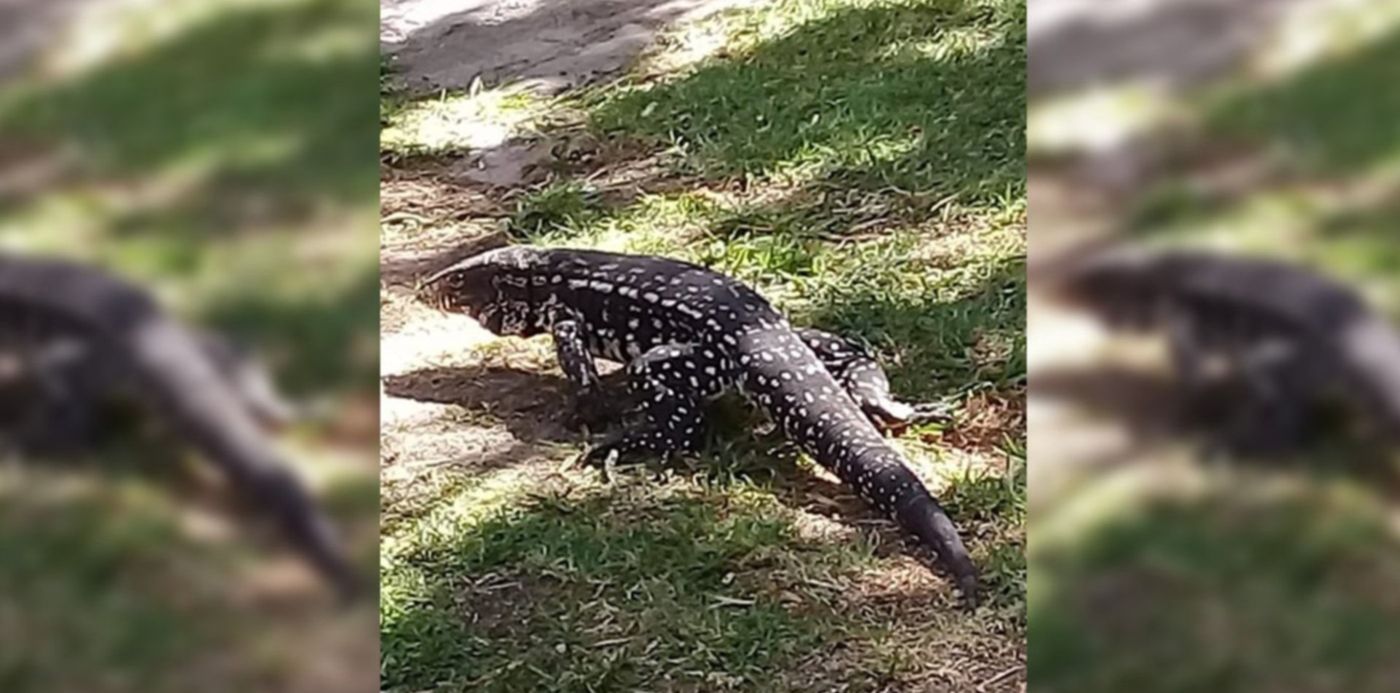 1542725670827.jpg?ow=1468&x=32&height=700&rotate=0&scaleX=1&scaleY=1&y=20&width=1399&oh=734&&cw=1920&ch=950