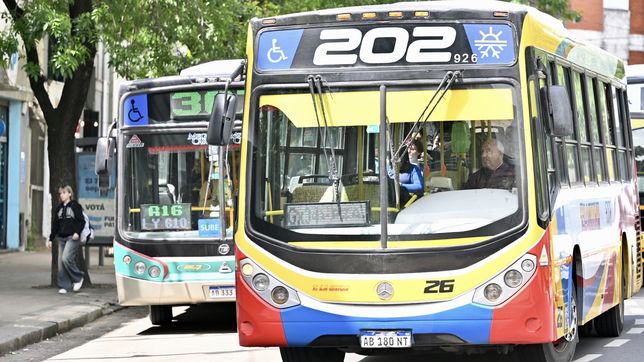 las claves del regimen de compensaciones para sostener el transporte publico en el amba