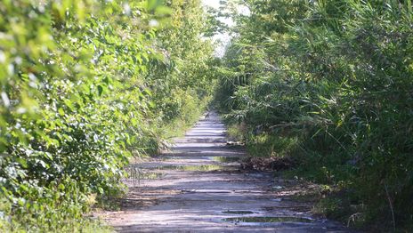 Piden explicaciones por el deterioro del Camino Negro que une La Plata y Ensenada Piden explicaciones por el deterioro del Camino Negro que une La Plata y Ensenada