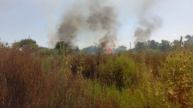 un incendio de pastizales en san carlos puso en alerta a los vecinos y motivo un gran despliegue de bomberos