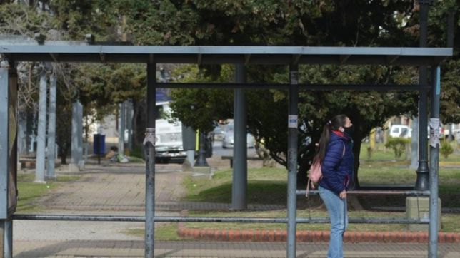 la uta anticipa un paro de micros total para la semana que viene en la plata