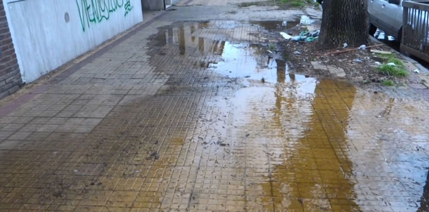 1561929660088.jpg?rotate=0&scaleX=1&x=9&y=0&width=1282&height=641&scaleY=1&ow=1295&oh=711&&cw=1920&ch=950