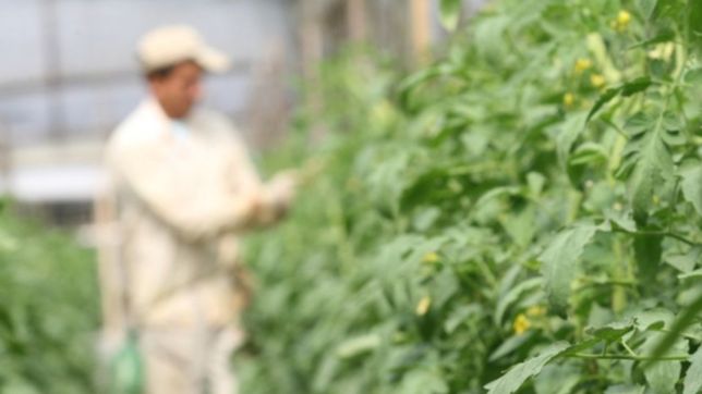 cientificos de la unlp desarrollan un pesticida biologico amigable con el medio ambiente