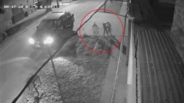 video: estaciono frente a una casa de la plata y se robo las plantas de la vereda