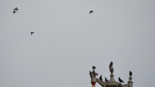 el cielo se oscurecio y pronostican la llegada de lluvias a la plata