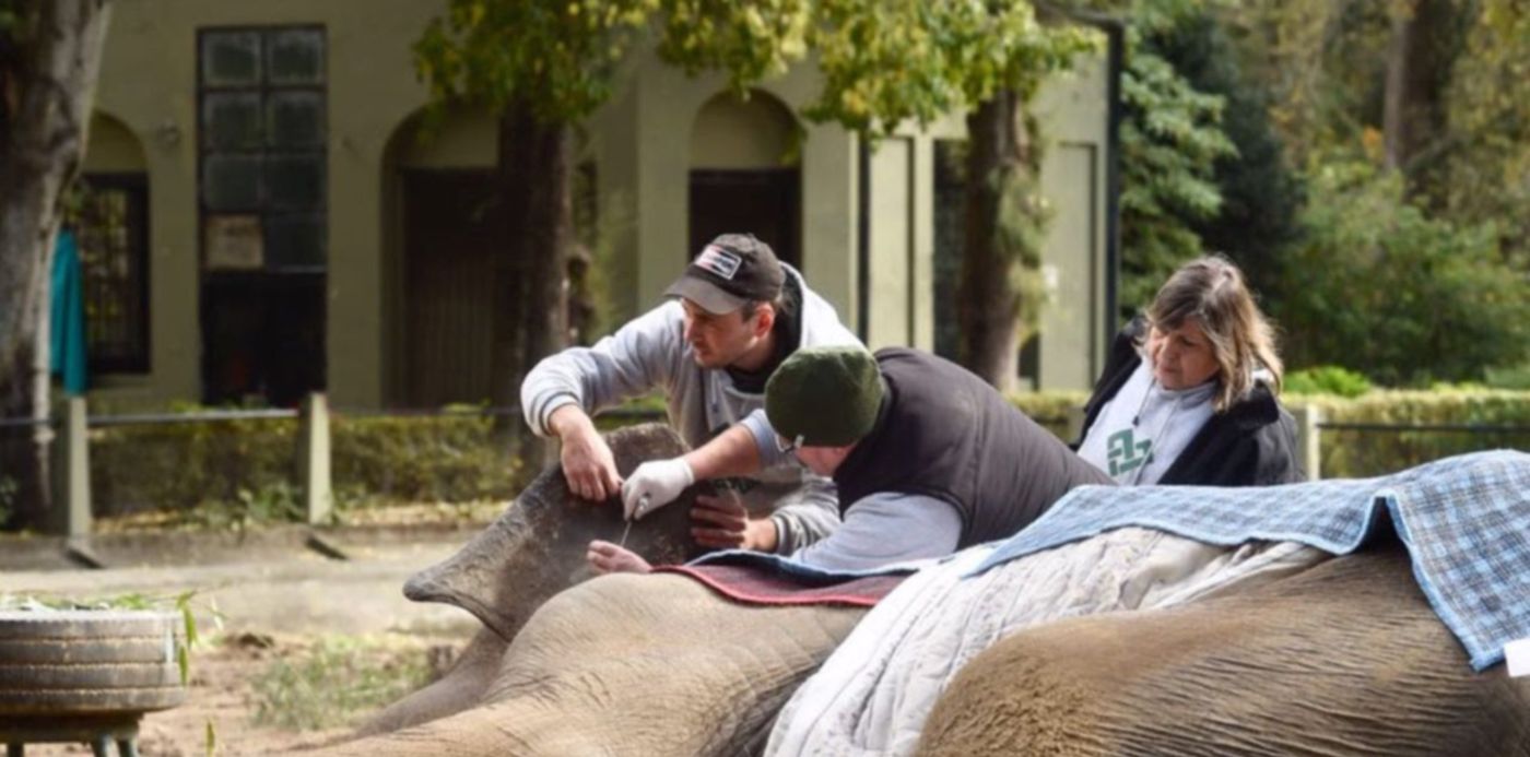 1527970453579.jpg?&cw=1920&ch=950