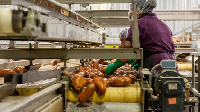 la escuela san vicente de paul abrira la tecnicatura en alimentos en 2026